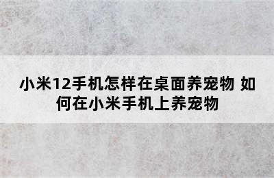 小米12手机怎样在桌面养宠物 如何在小米手机上养宠物